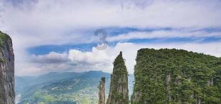 虫虫助手下载